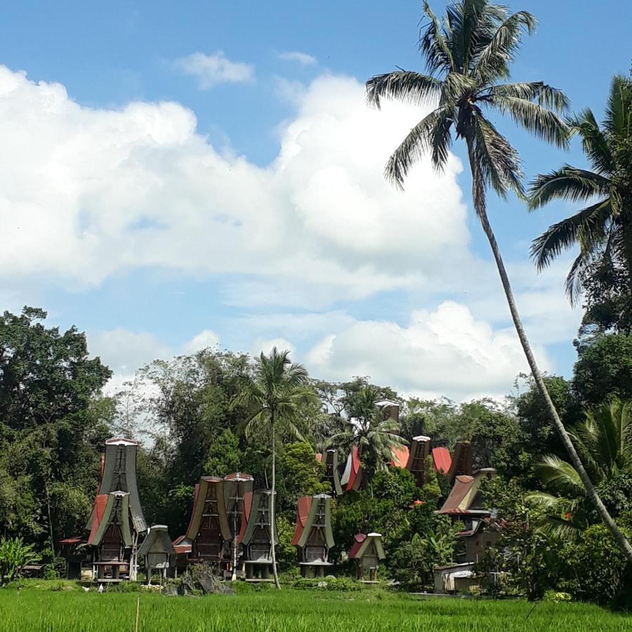 Toraja Manubackpacker Hotel Rantepao Exterior photo